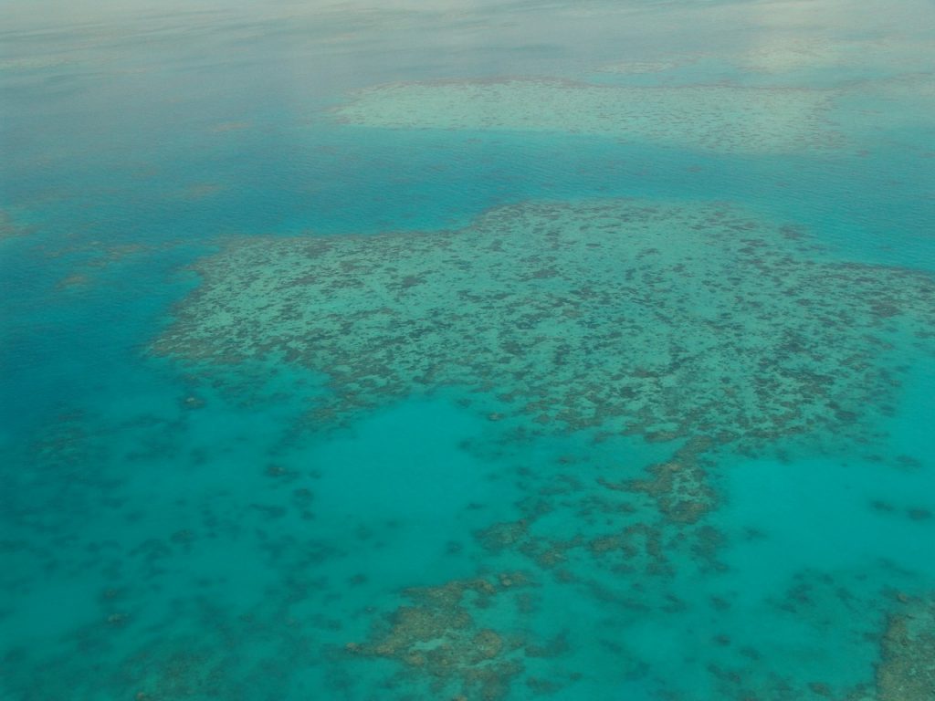 Gran Arrecife de Coral: El patrimonio de la humanidad